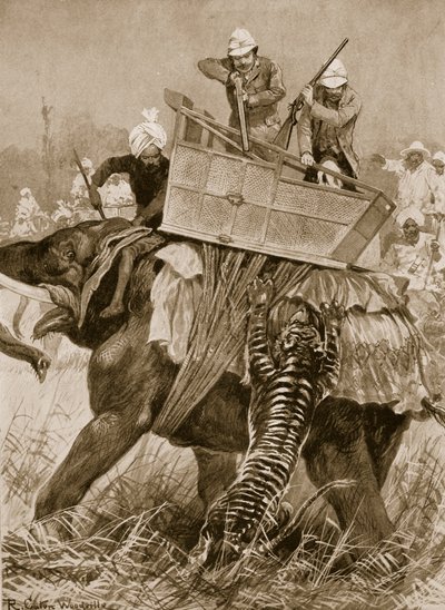 Der Besuch des Prinzen von Wales in Indien, 1876: Der Elefant des Prinzen wird von einem Tiger im Nepaul Terai angegriffen, 21. Februar, aus 